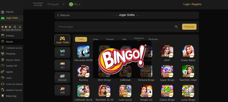 Experiência do Usuário no Bingo Casino